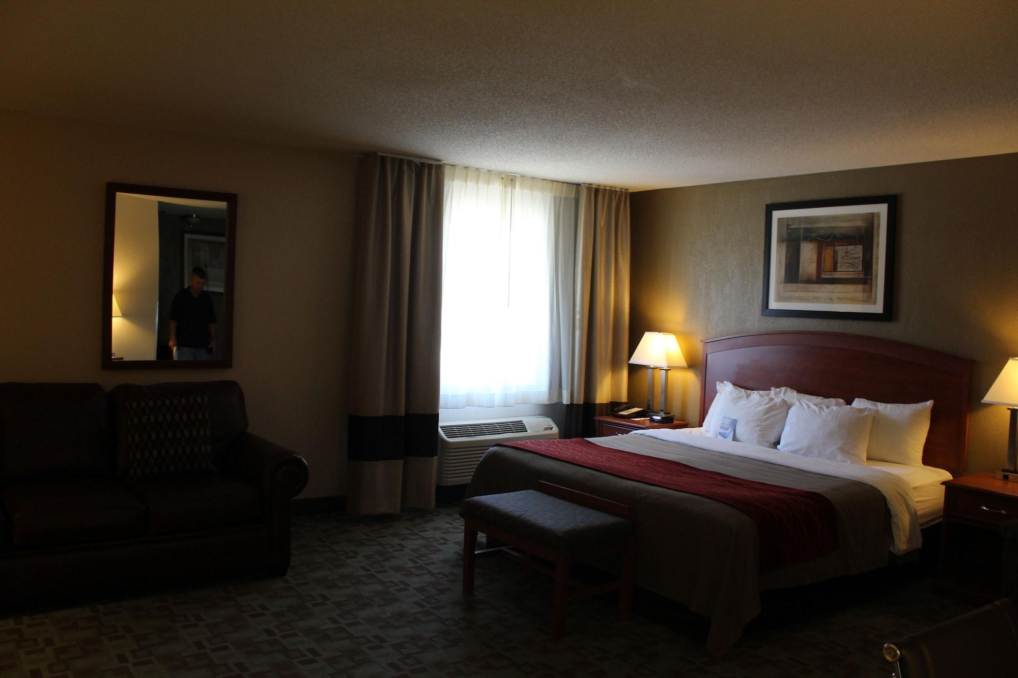 Comfort Inn Hastings Εξωτερικό φωτογραφία
