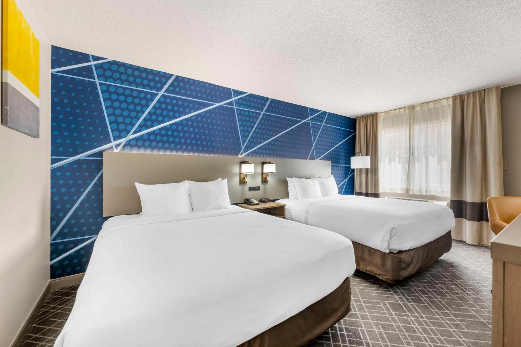 Comfort Inn Hastings Εξωτερικό φωτογραφία