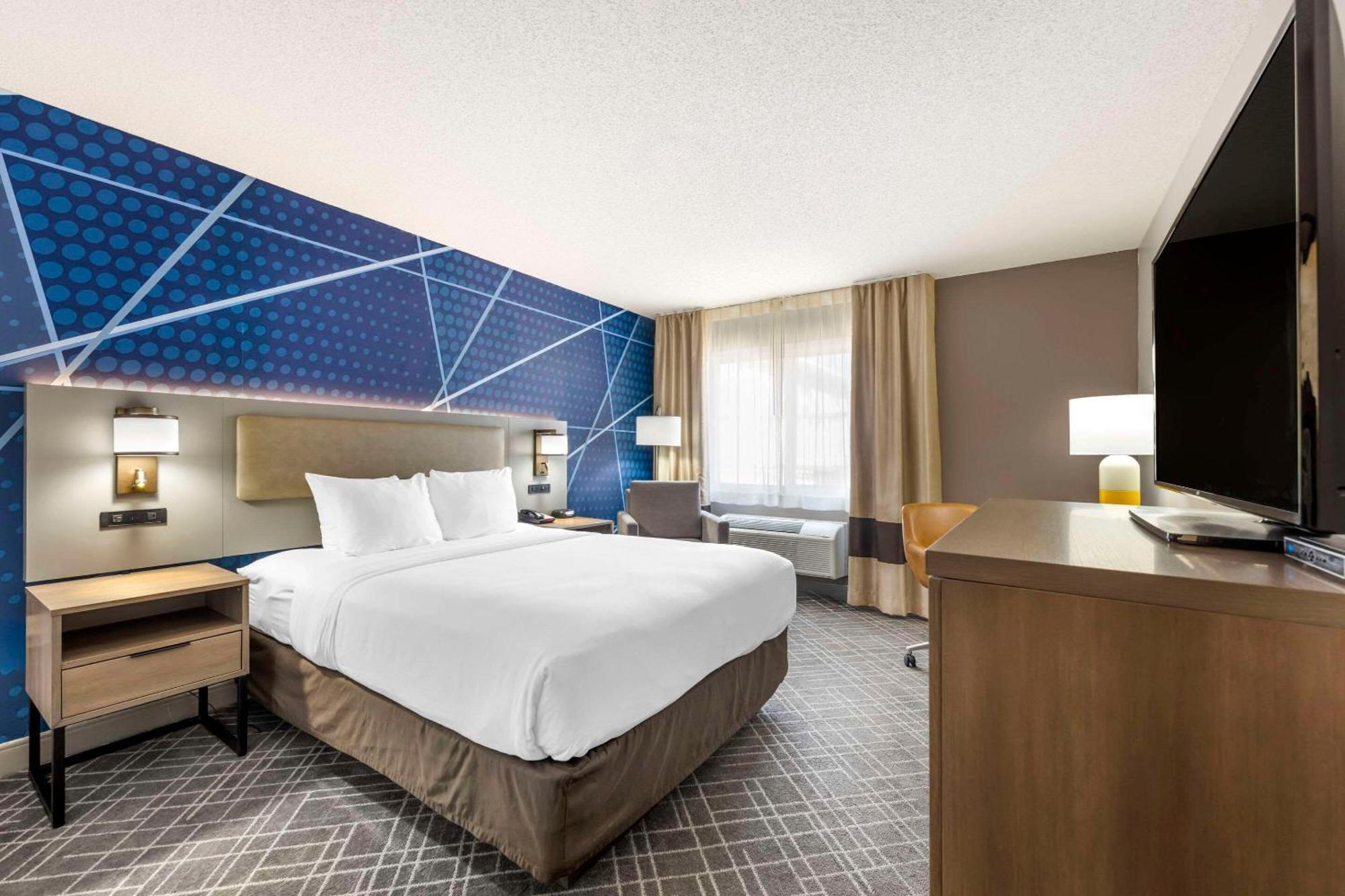 Comfort Inn Hastings Εξωτερικό φωτογραφία