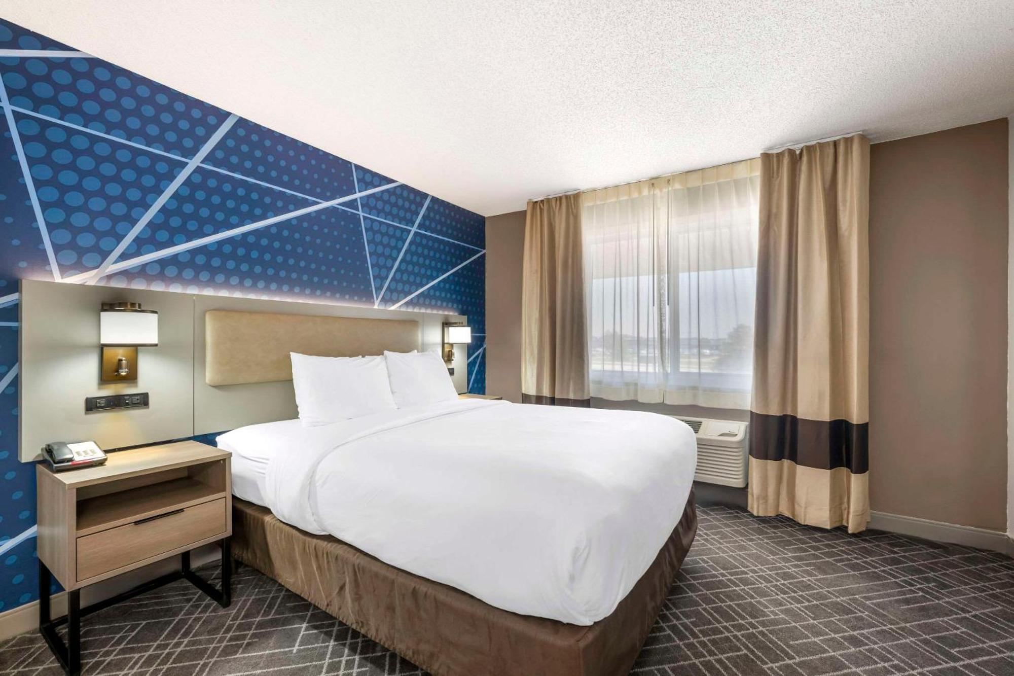 Comfort Inn Hastings Εξωτερικό φωτογραφία