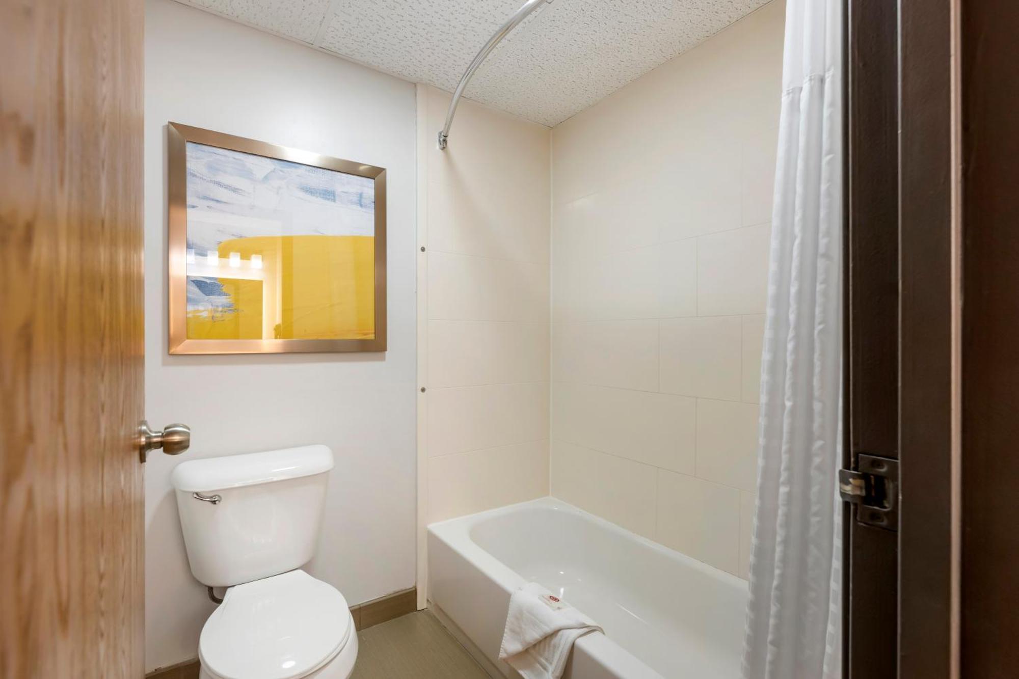 Comfort Inn Hastings Εξωτερικό φωτογραφία
