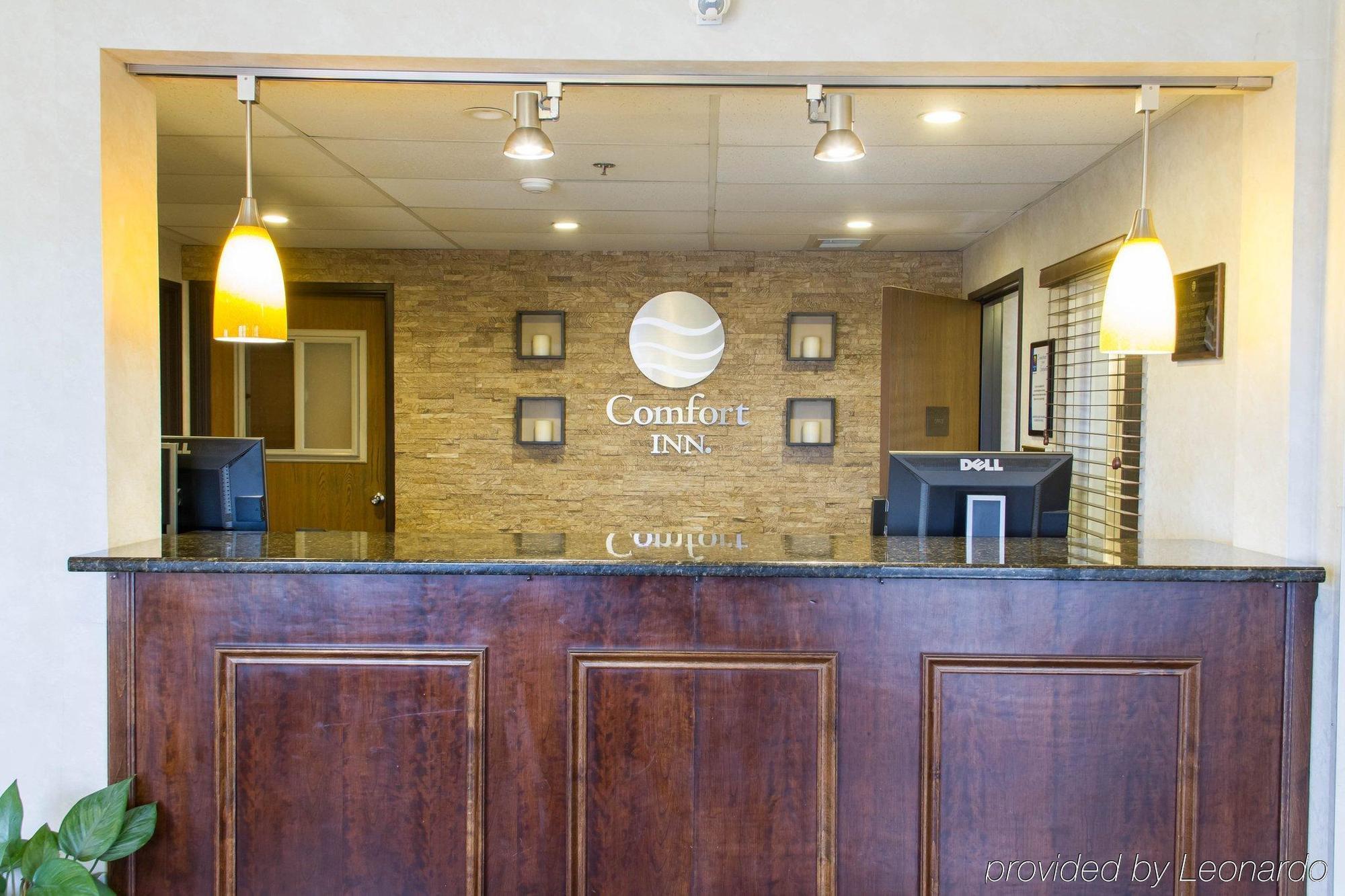 Comfort Inn Hastings Εξωτερικό φωτογραφία