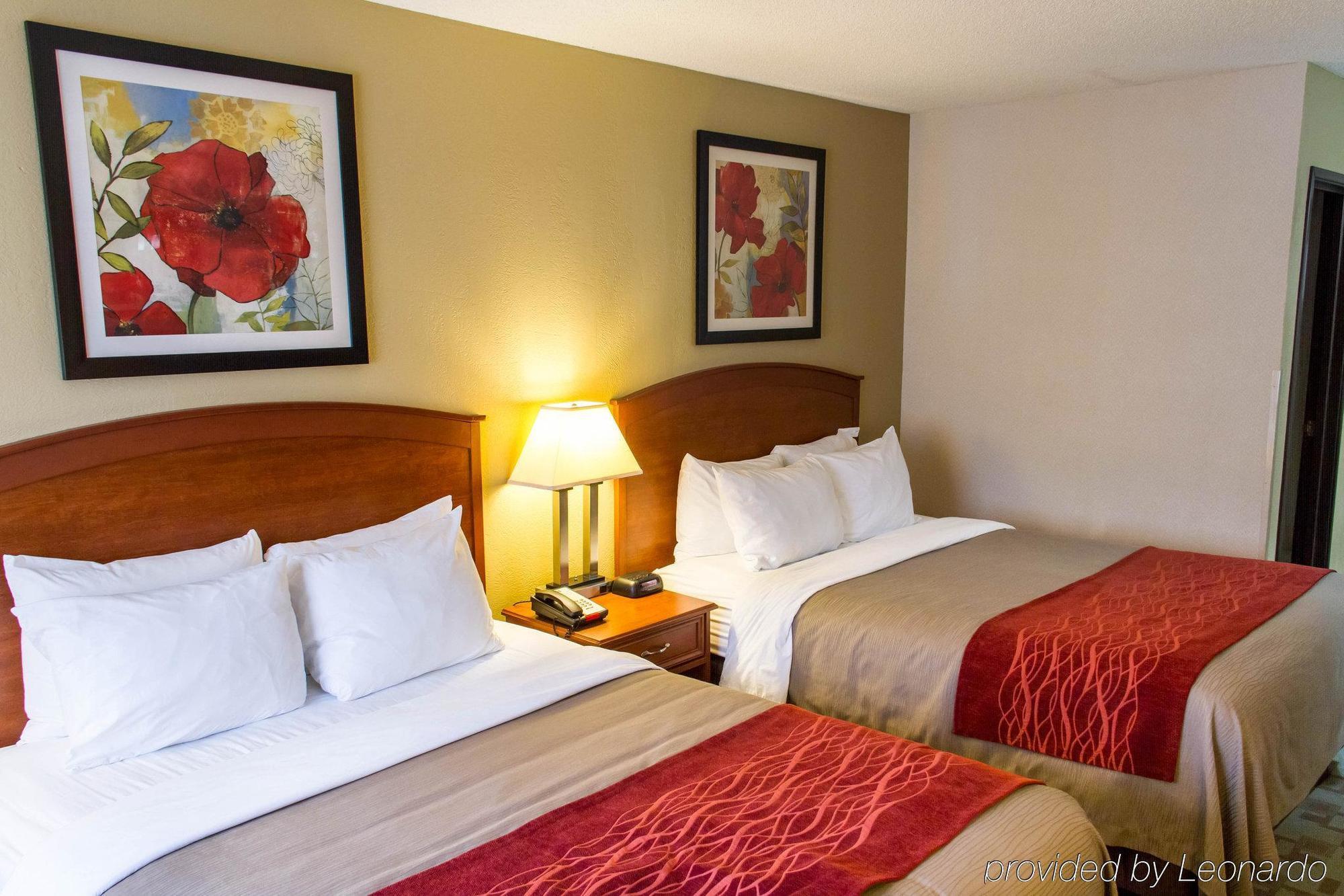 Comfort Inn Hastings Εξωτερικό φωτογραφία